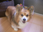 2013-05-08 16.07.08.jpg